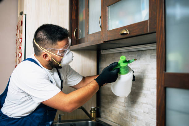 Best Wasp Removal Services  in Williamsburg, OH